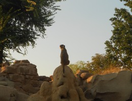 Bioparco di Cumiana